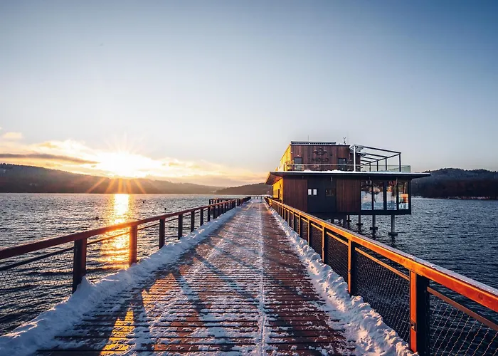 Nad Jezerem Lipno Villa *