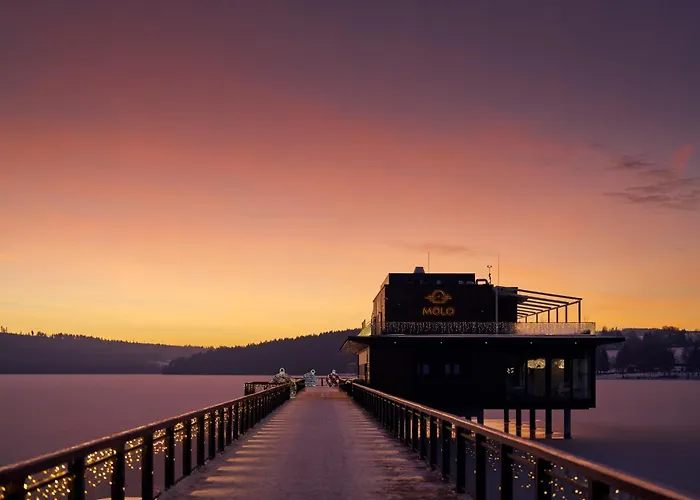 Nad Jezerem Lipno Villa *